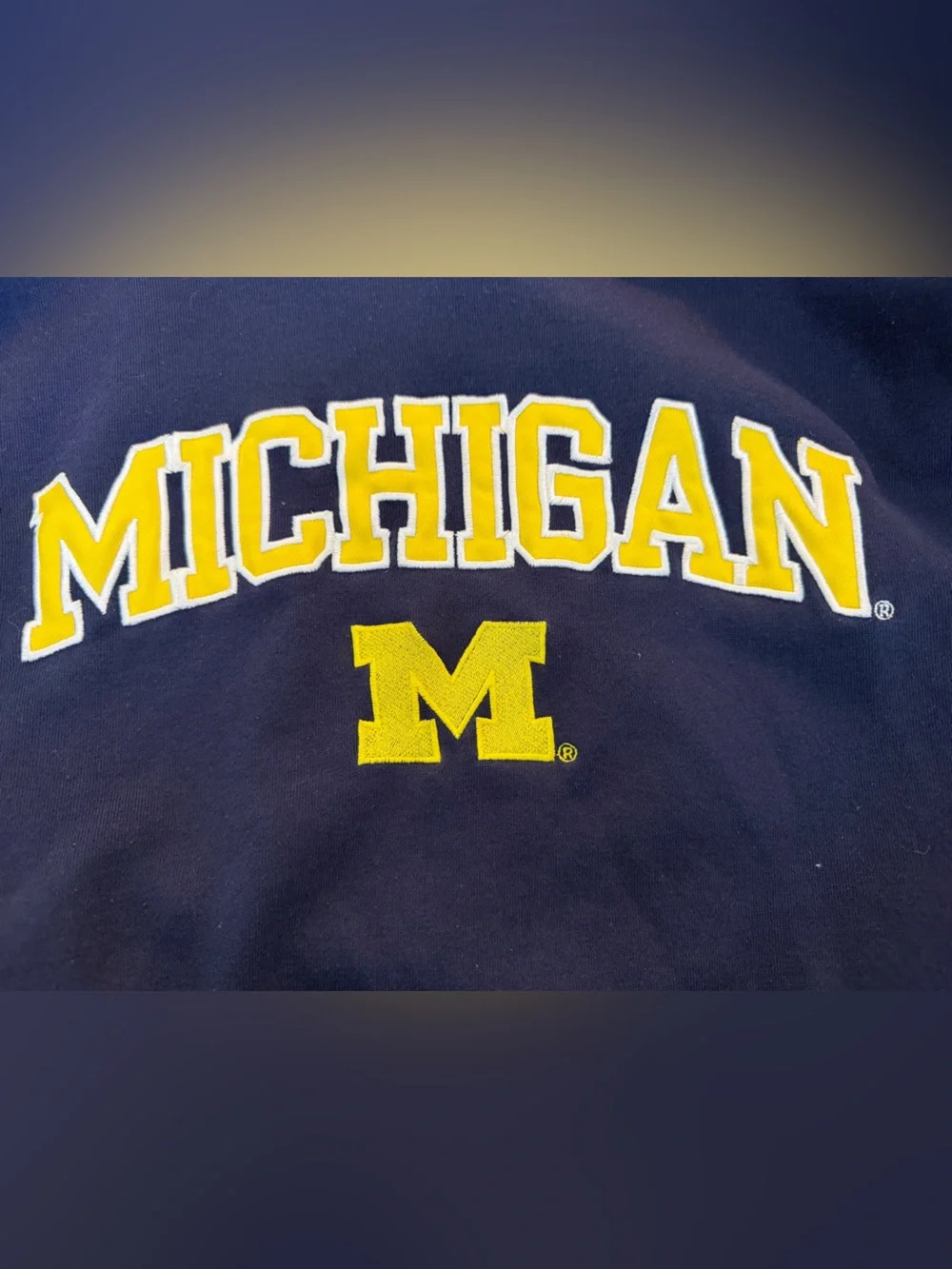 Pro Edge Navy Blue Hoodie with Yellow Lettering